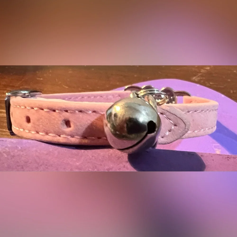 Cat Collar Pink Sparkling Heart
